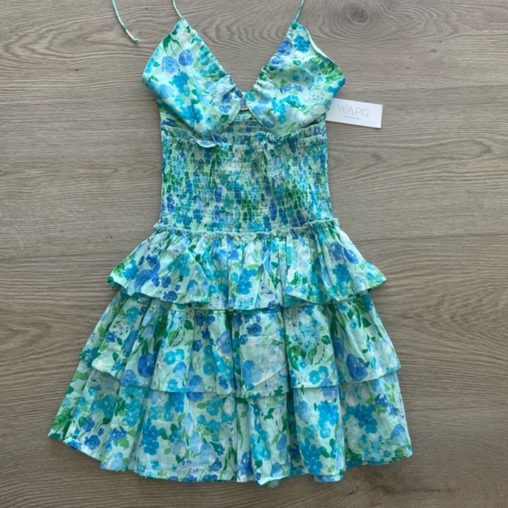 NWOT RARE WAPG ‘Deja Vu Printed Dress’ in Ocean Size M